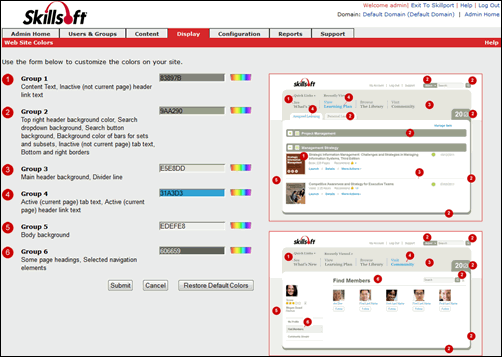 Web Site Colors page in Skillport 8