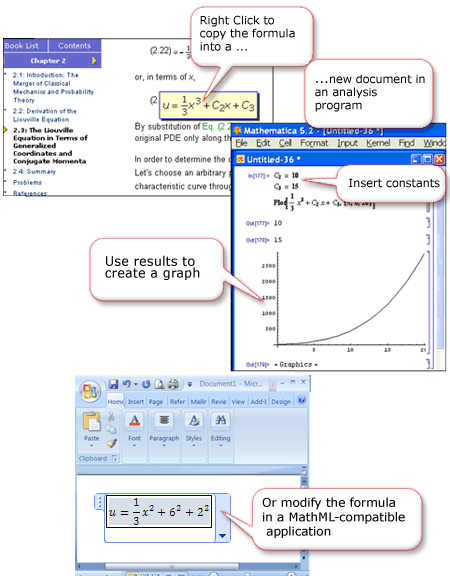 Internet Explorer and formulas