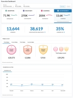 Executive Dashboard page with the Achievement tab selected.