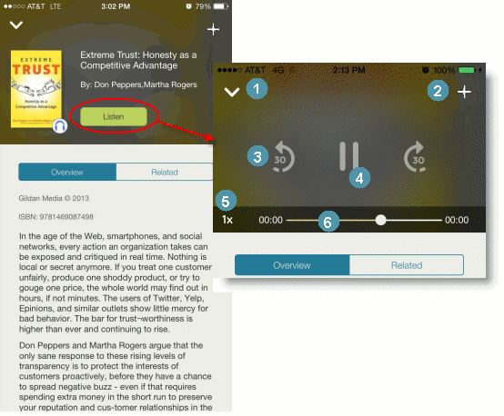 Audiobook overview page plus Audio Controls