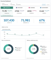 Executive Dashboards page with the adoption tab selected.