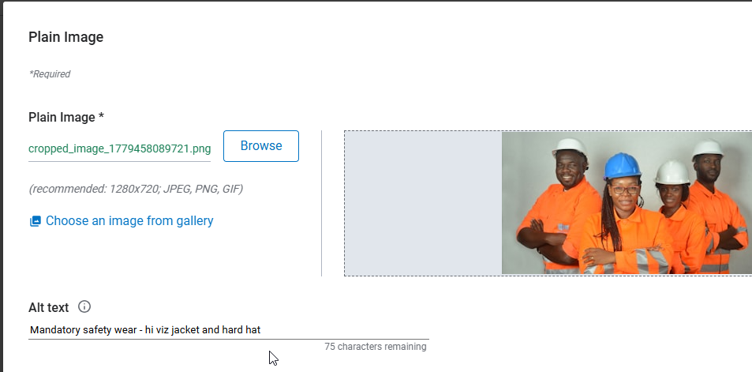 Screenshot of the editor for a plain image. The image shows four workers wearing safety clothing. The editor includes an Alt text field which contains the text "Mandatory safety wear - hi viz jacket and hard hat".