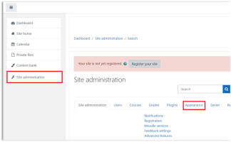 Site administration,  appearance tab