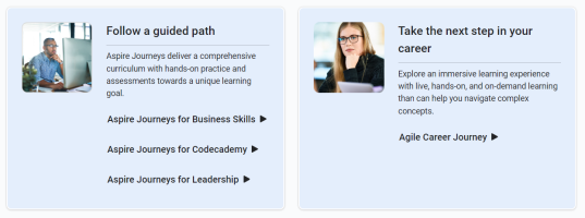 Screenshot of the boxes "follow a guided path" and "take the next step in your career" that are located in the library.