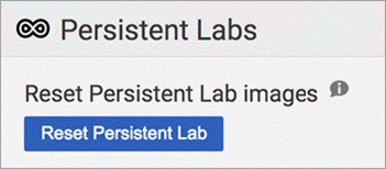 Reset Persistent Lab button