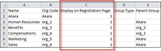 Display on Registration Page column in the group CSV template