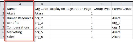 Name and Org Code columns in the group CSV template