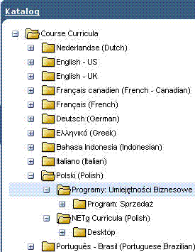 Program certyfikacji w katalogu programu SkillPort