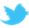 在 Twitter 分享